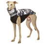 Sofadogwear Hachico ARMY Softshell Pullover in Grau Camouflage