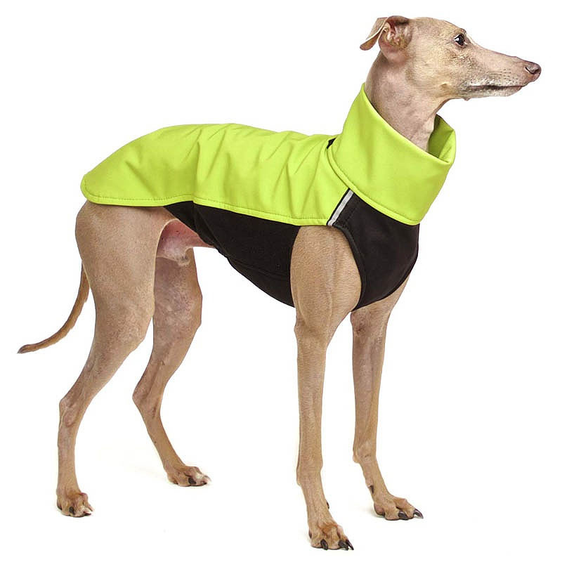 Sofadogwear Hachico V2 sportlicher Softshell Pullover in Hellgrün