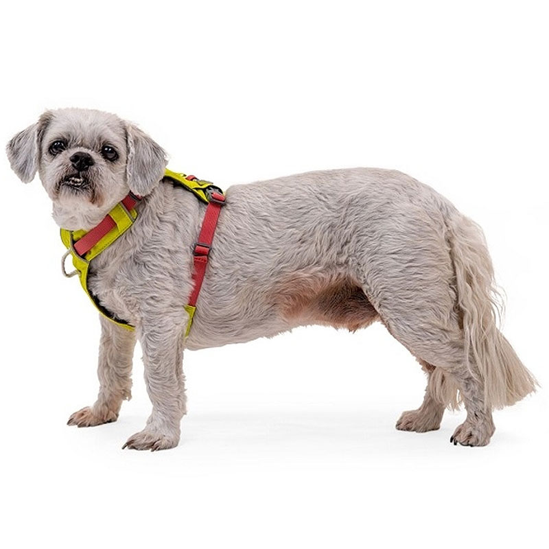 Ruffwear Hundegeschirr Hi & Light Lichen Green gelb