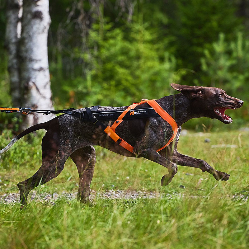 Non-stop dogwear Zuggeschirr Laufgeschirr Sportgeschirr Freemotion 5.0 schwarz orange