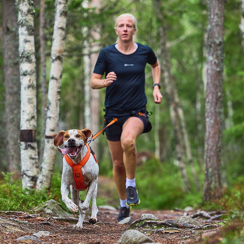 Non-stop dogwear Zuggeschirr Laufgeschirr Sportgeschirr Freemotion 5.0 schwarz orange Größe 8