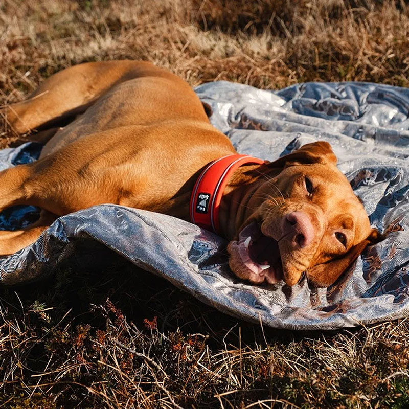 Hurtta Outback Dreamer ECO  Schlafsack für deinen Hund Outdoor in oliv