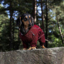 Rukka Pets  thermal overall Wintermantel für kurzbeinige Hunde Dackel in weinrot
