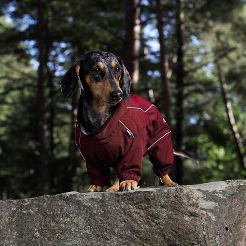 Rukka Pets  thermal overall Wintermantel für kurzbeinige Hunde Dackel in weinrot 40