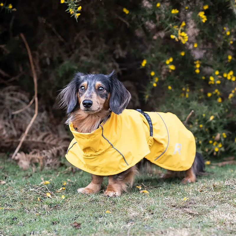 Rukka Pets Regenjacke Regenmantel Hayton ECO in gelb