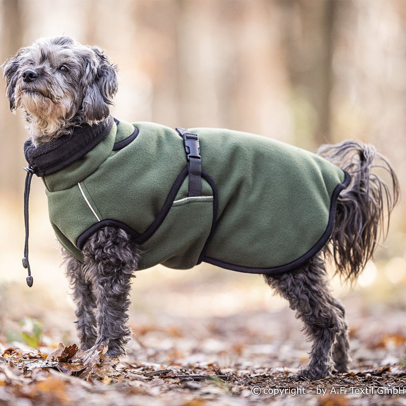 WarmUp Cape PRO Mantel MINI für kleine Hunde in piniengrün-moos NEU