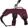 Ruffwear Web Master Sicherheitsgeschirr Purple Rain | lila violett XXS