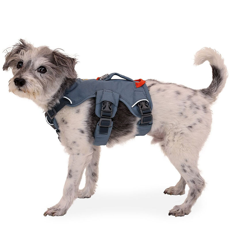 Ruffwear Web Master Sicherheitsgeschirr Slate Blue | blau grau