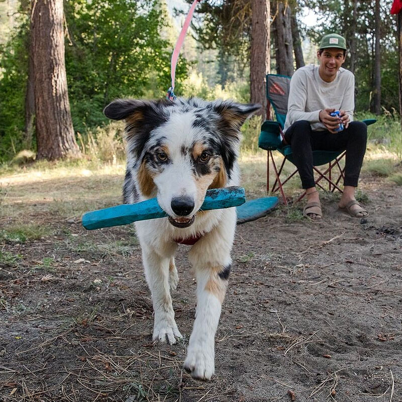 Ruffwear Gnawt A Stick Apportierstock robust