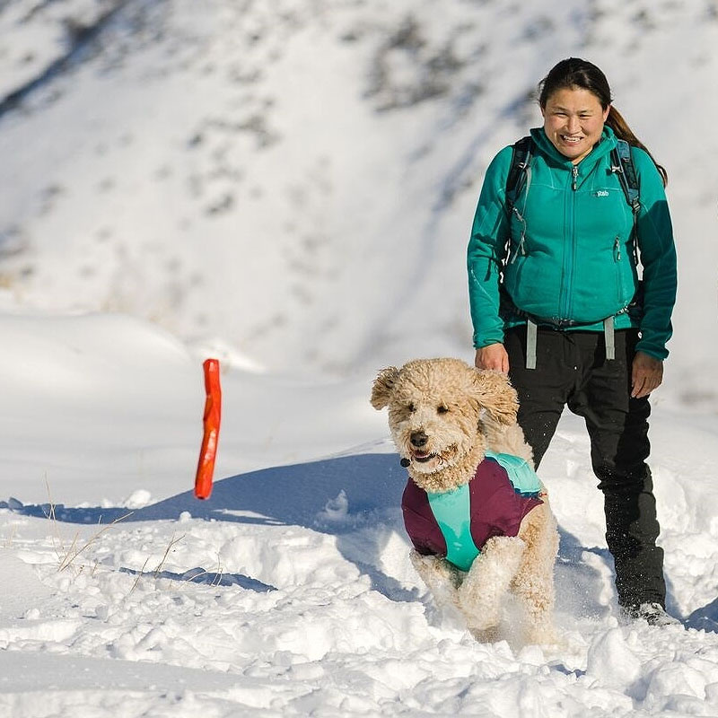 Ruffwear Gnawt A Stick Apportierstock robust