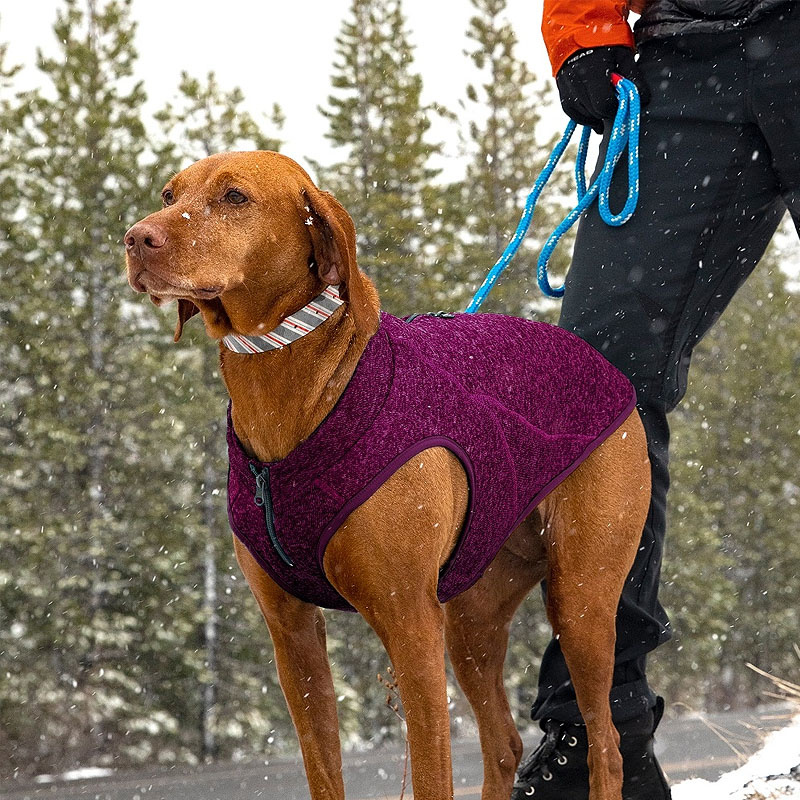 KURGO K9 Core Sweater Hundepullover in Heather violett lila L