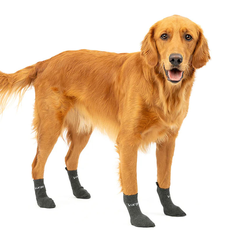 Kurgo Blaze Cross Hunde Socken 4-er Pack in grau