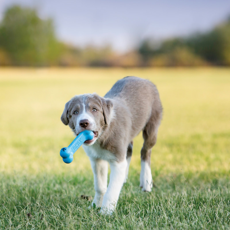 KONG  Puppy Goodie Bone leckerchen Knochen