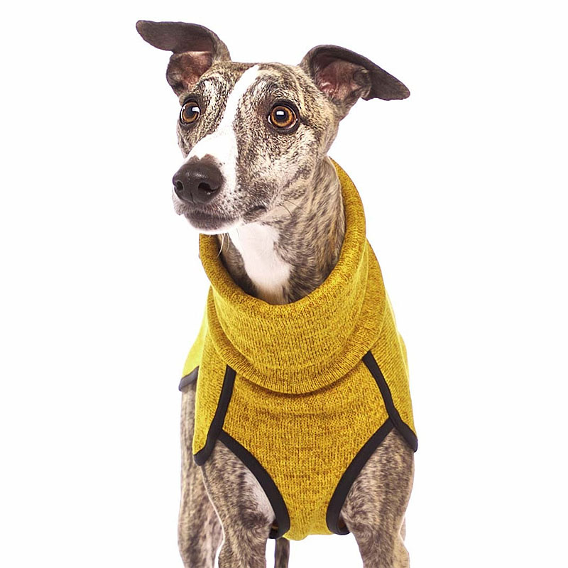 Sofadogwear Kevin Jumper V2 bequemer Pullover in ocker gelb