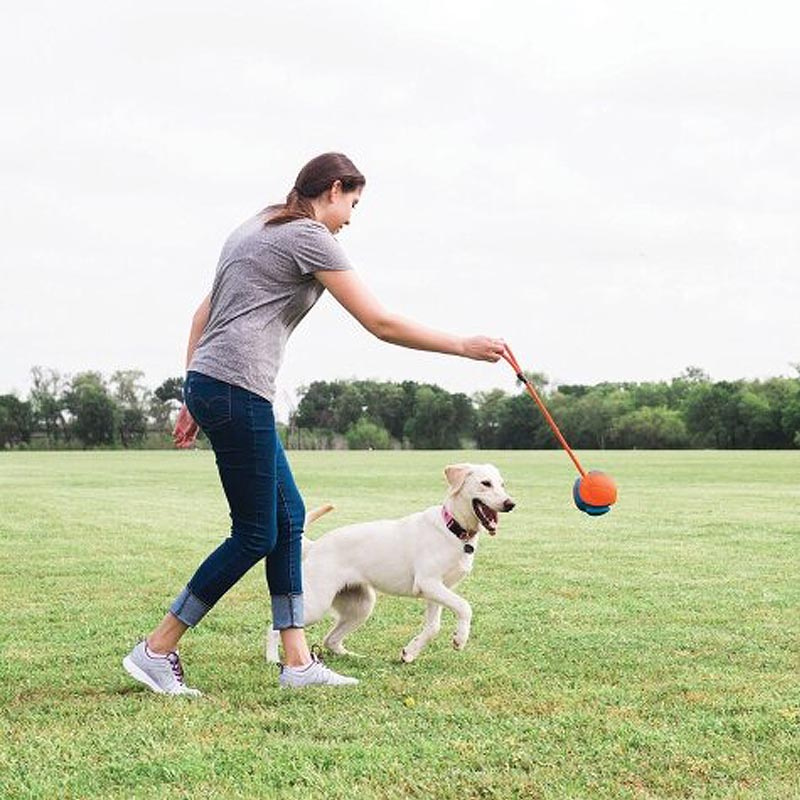 Chuckit Rope Fetch Ball mit Wurfseil