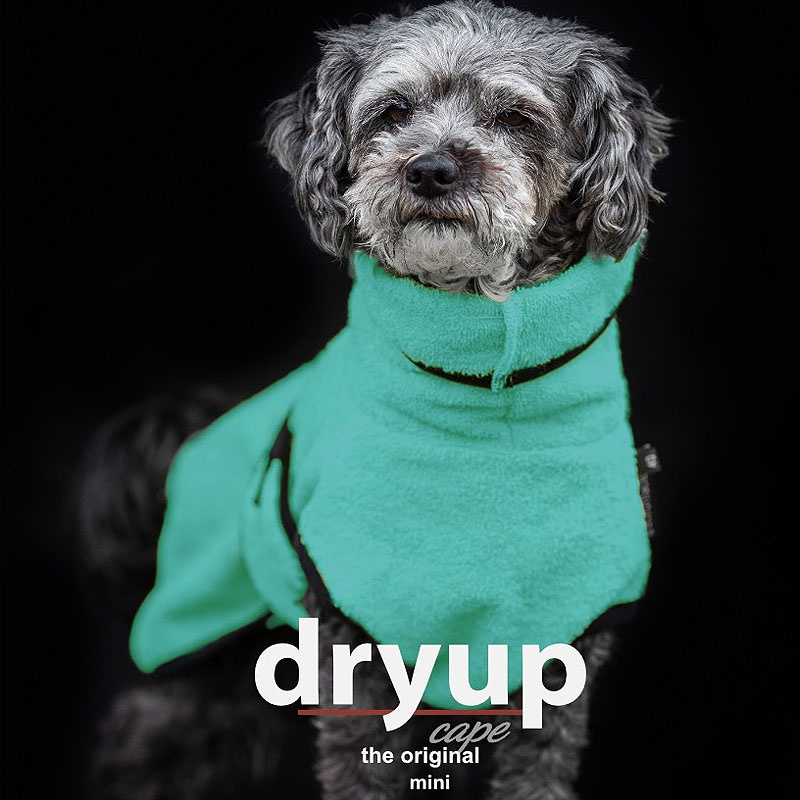 DryUp Trocken Cape Hundebademantel MINI für kleine Hunde in mint grün