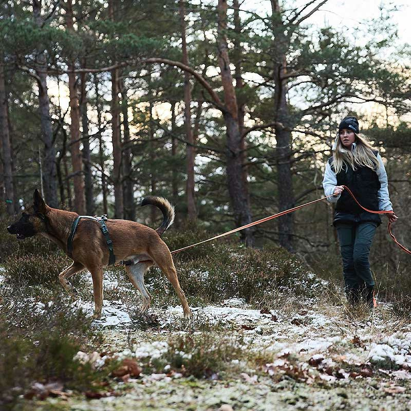 Non-stop dogwear Schleppleine Friction Long Line in orange 10m