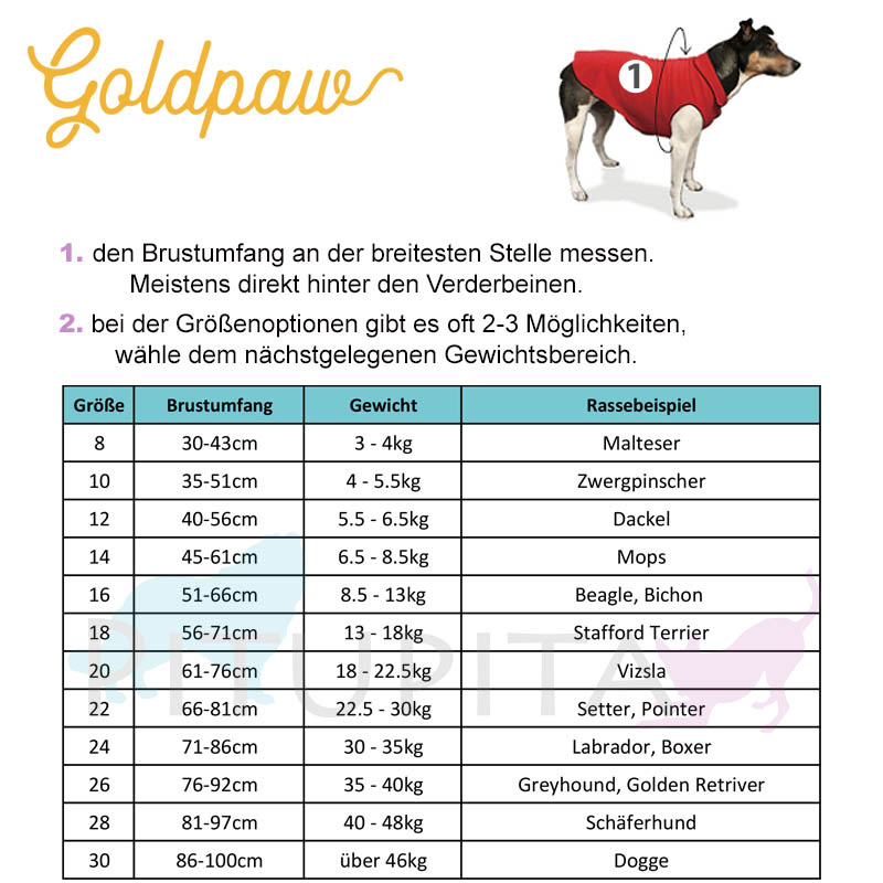 Goldpaw UV T-Shirt Sun Shield Sonnenschutz LSF 50+ in pebble grau