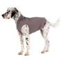 Goldpaw Stretch Fleece Hundepullover in charcoal grau Größe 18