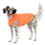 Goldpaw UV T-Shirt Sun Shield Sonnenschutz LSF 50+ in orange neon Größe 18