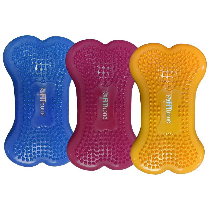 FitPAWS K9 Fitbone Balance Pad Kissen Set mini 2 Stück