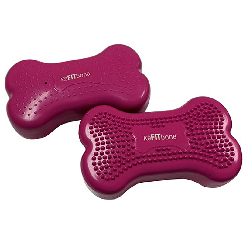 FitPAWS K9 Fitbone Balance Pad Kissen Set mini 2 Stück