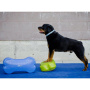 FitPAWS K9 Fitbone Balance Pad Kissen 58x29x10cm Himbeerrot