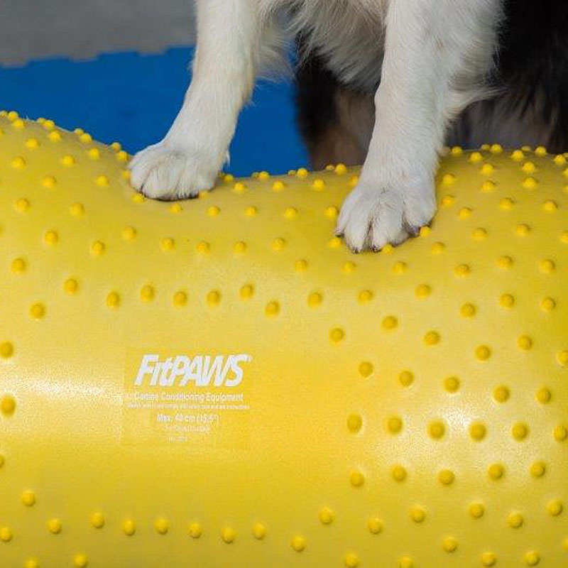 FitPAWS Targets 4 Stück gelb und blau