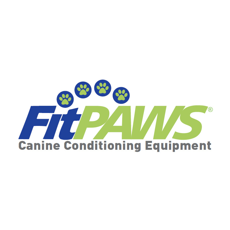 FitPAWS Targets 4 Stück gelb und blau