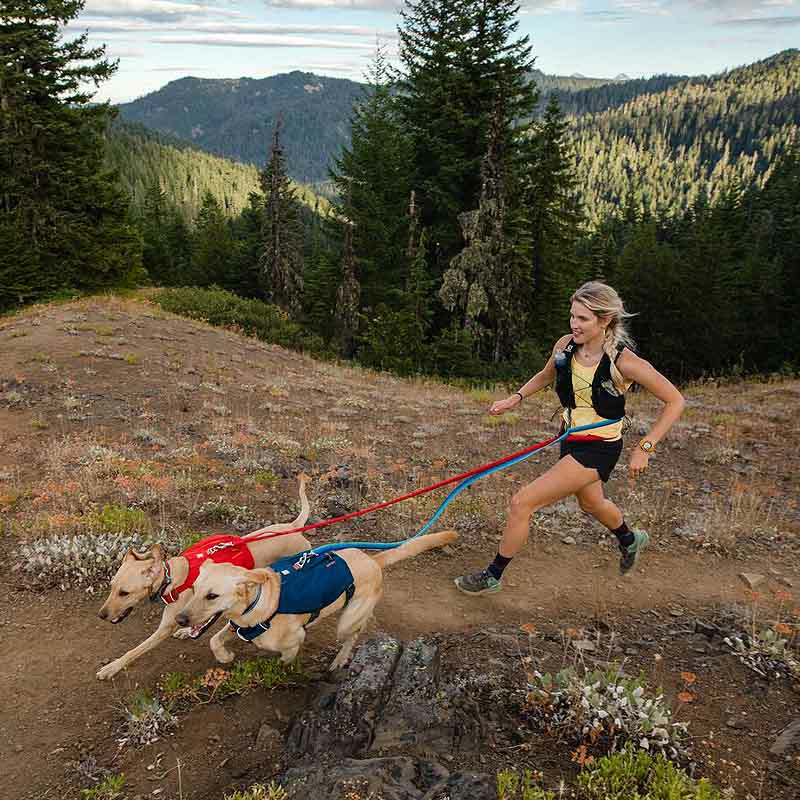 Ruffwear Roamer Leash Bungee Leine Red Sumac rot