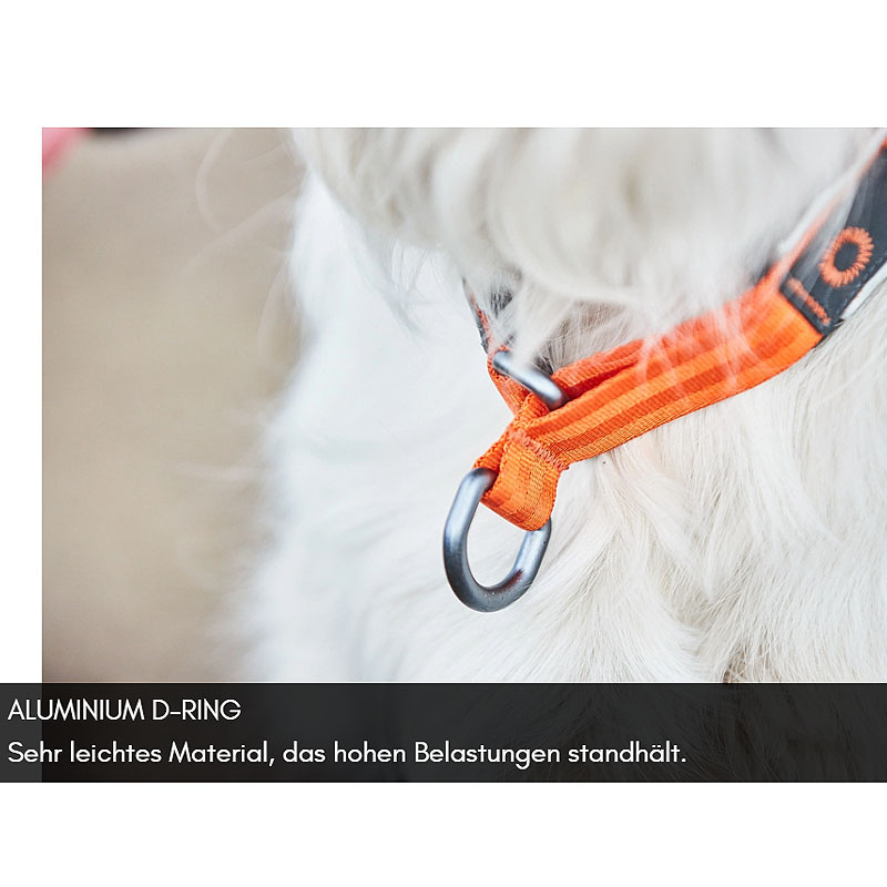 Non-stop dogwear Zugstopp Halsband Cruise Collar in orange