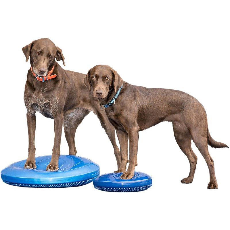 FitPAWS K9 Fitbone Balance Disc Scheibe in blau