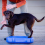 FitPAWS K9 Fitbone Balance Pad Kissen 58x29x10cm Aqua-Türkis