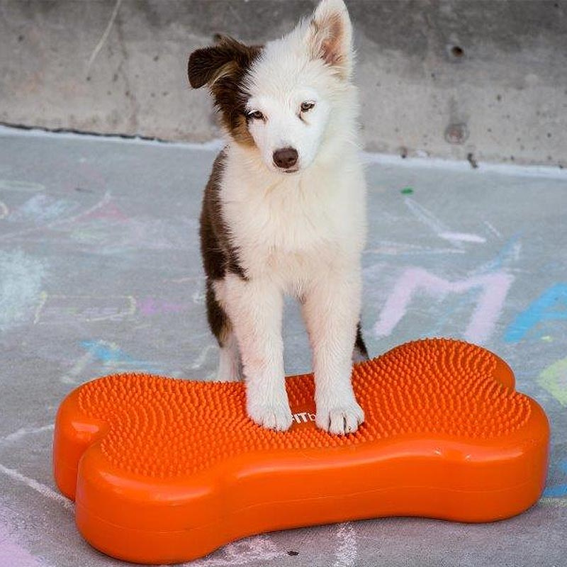 FitPAWS K9 Fitbone Balance Pad Kissen 58x29x10cm Orange