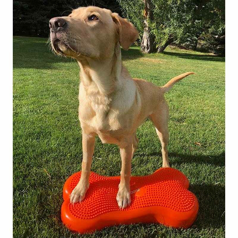 FitPAWS K9 Fitbone Balance Pad Kissen 58x29x10cm Orange