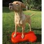 FitPAWS K9 Fitbone Balance Pad Kissen 58x29x10cm Orange