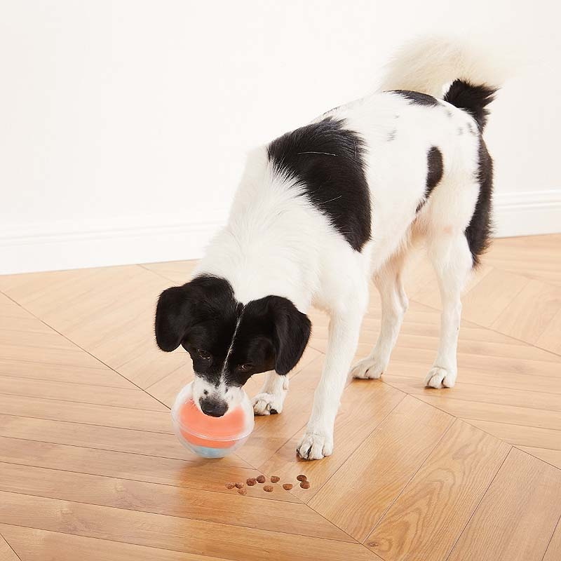 Nina Ottosson Dog Rumble Puzzle Ball Intelligenzspielzeug LEVEL 1