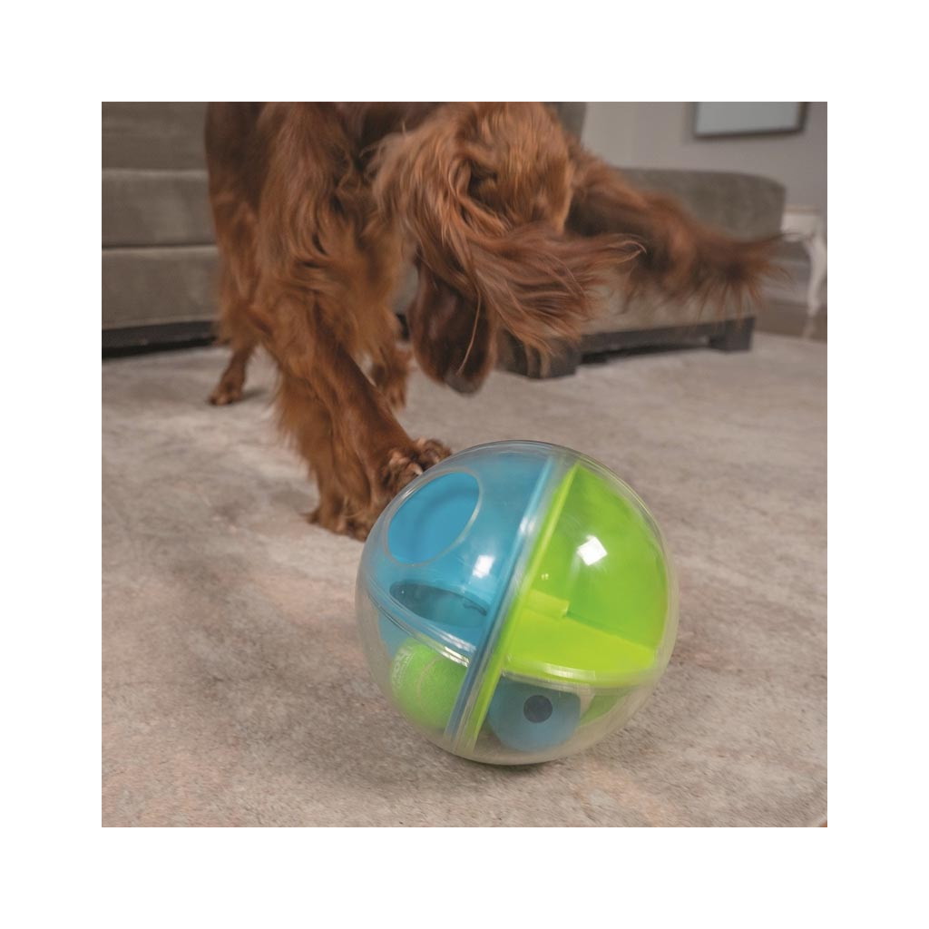 https://www.pitupita-shop.de/media/image/product/30952/lg/nina-ottosson-a-maze-ball-intelligenzspielzeug-level-2~5.jpg