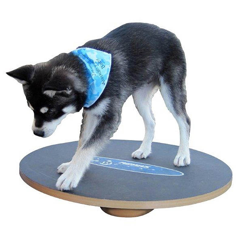 FitPAWS Wobble Board Wackelbrett aus Holz