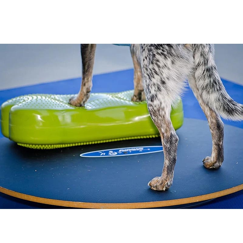 FitPAWS Wobble Board Wackelbrett aus Holz