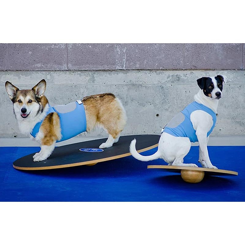 FitPAWS Wobble Board Wackelbrett aus Holz