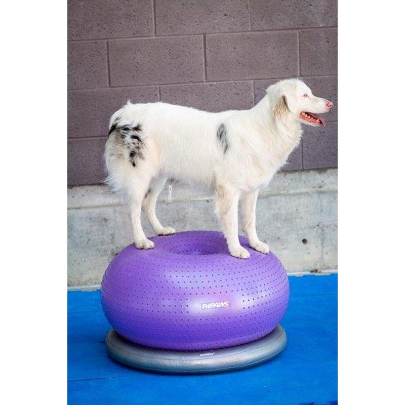 FitPAWS Trax Donut Balance Kissen