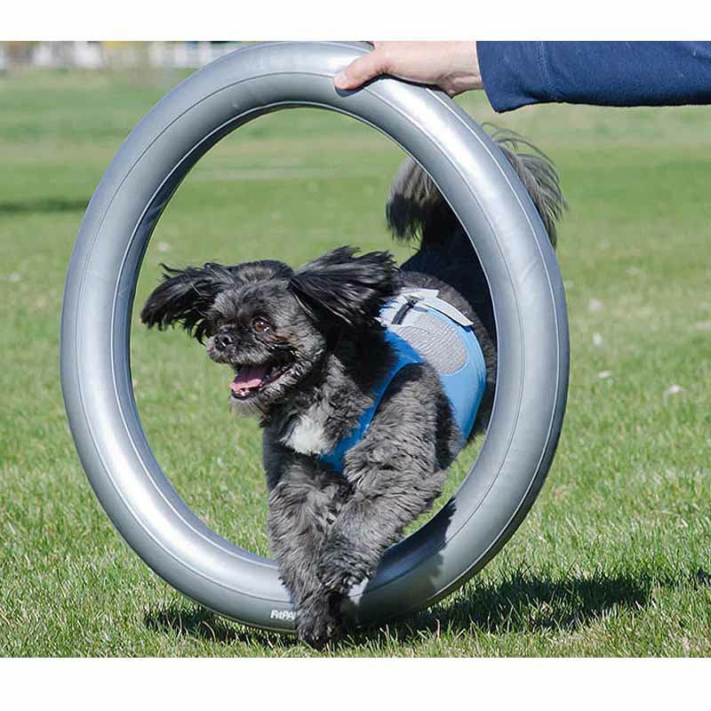 FitPAWS Trax Donut Halter Ring Springring