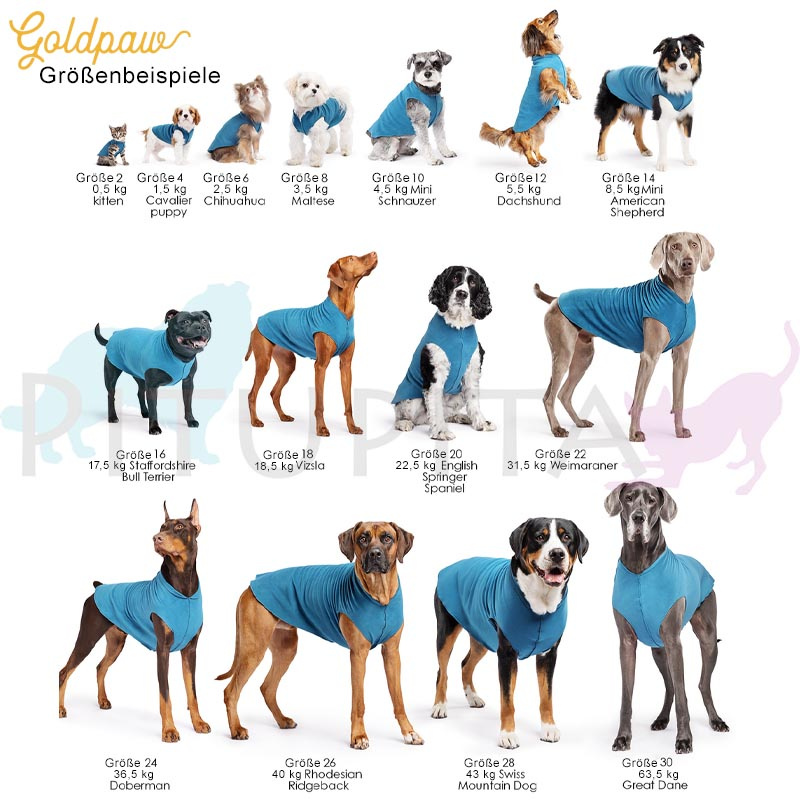 Goldpaw Stretch Fleece Hundepullover in marine petrol