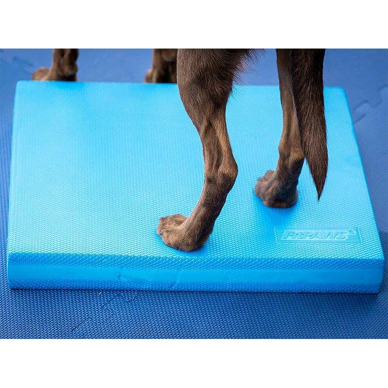 FitPAWS Balance Pad Matte Kissen in blau