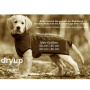 DryUp Trocken Cape Hundebademantel MINI für kleine Hunde in anthrazit grau