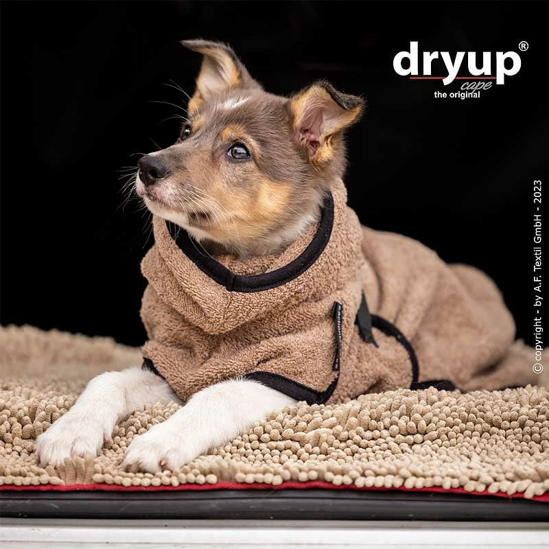 DryUp Trocken Cape Hundebademantel MINI für kleine Hunde in coffee braun