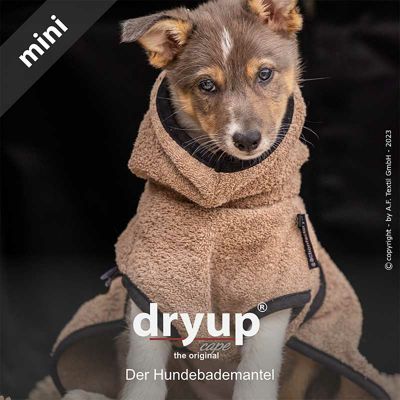 DryUp Trocken Cape Hundebademantel MINI für kleine Hunde in coffee braun