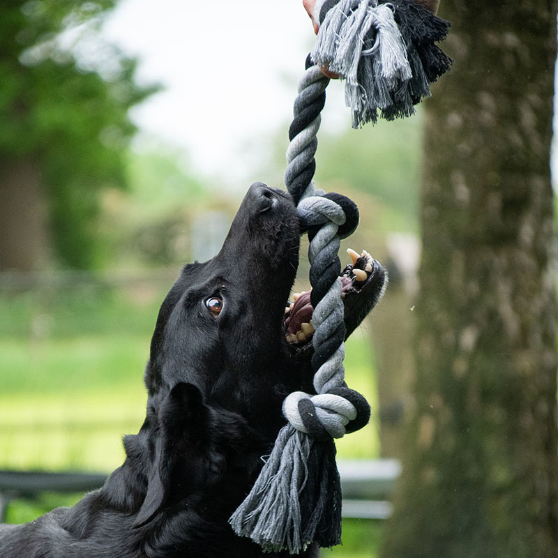 Floss Extreme Baumwollball mit Griff 60cm