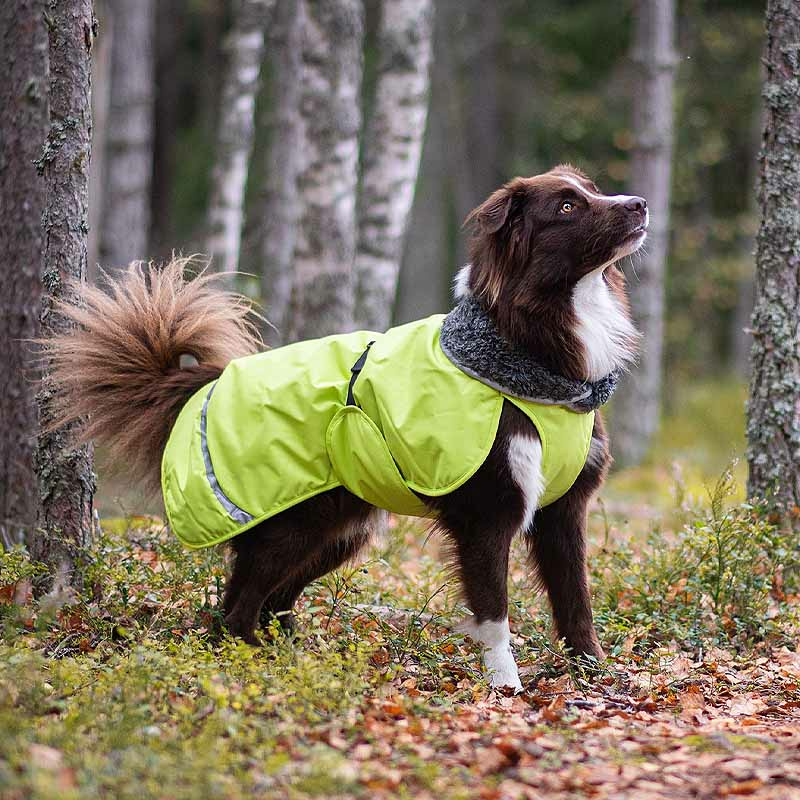 Pomppa Toppa Wintermantel in lime grün